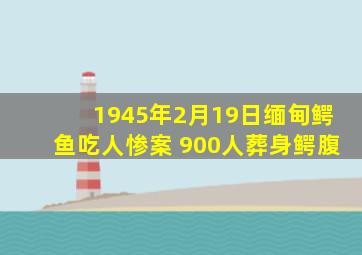 1945年2月19日缅甸鳄鱼吃人惨案 900人葬身鳄腹